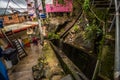 Rio de Janeiro - June 21, 2017: Streets of the Favela of Santa Marta in Rio de Janeiro, Brazil