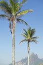 Rio de Janeiro Palm Trees Two Brothers Mountain Brazil