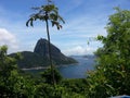 Rio de Janeiro Pao de Acucar