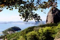 Rio de Janeiro seen from the hill of Pao de Acucar Sugar Loaf. Green vegetation and in the background the city of Niteroi,