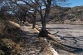 A Rio Grande hiking path along the river