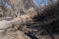 A Rio Grande hiking path along the river in New Mexico