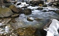 Rio San Pellegrino flowing through a wood, Alto Adige, South Tyrol, Dolomites, Italy. Long expo shot of Rio di San Pellegrino in t Royalty Free Stock Photo