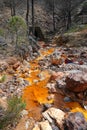 Rio Tinto orange coloured river near Nerva in Spain Royalty Free Stock Photo