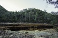 Rio Tinto River with red acidic and polluted water due to mining, in Spain Royalty Free Stock Photo