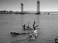 Rio Vista Bridge and Tree Drift