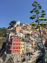 Riomaggiore village from cinque terre,liguria-italy Royalty Free Stock Photo