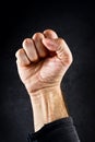 Riot protest fist Royalty Free Stock Photo