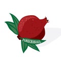 Rip fresh pomegranate. Flat vector illustration. Cartoon red granate, on white background