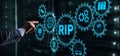 RIP Routing Information Protocol. Technology networks cocept 2021