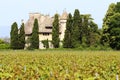 Chateau de Ripaille and vineyard, Ripaille, Savoie, France