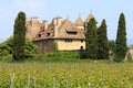 Chateau de Ripaille and vineyard, Ripaille, Haute Savoie, France Royalty Free Stock Photo