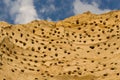 Riparia riparia, Sand Martin