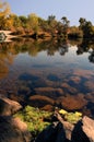 Riparian Reflection