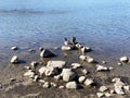 riparian river rocks low tide water edge ocean wave rocks lake shore riverbank