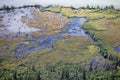 Riparian sub-arctic boreal forest wetland aerial