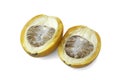 Ripe acera or betel palm nut fruit with path