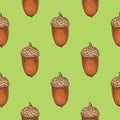 Seamless Pattern with Ripe Acorn Royalty Free Stock Photo