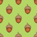 Seamless Pattern with Ripe Acorn Royalty Free Stock Photo