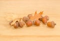 Ripe acorns and autumn oak leaves on a oak planks Royalty Free Stock Photo
