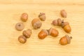 Ripe acorns on a oak planks Royalty Free Stock Photo