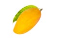 Ripe Alphonso mango fruit isolated white background Royalty Free Stock Photo