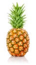 Ripe ananas fruit with green leaves