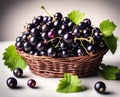 Ripe appetizing black currant berries in an overflowing basket, AI Royalty Free Stock Photo