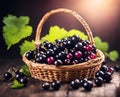 Ripe appetizing black currant berries in an overflowing basket, AI Royalty Free Stock Photo