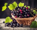 Ripe appetizing black currant berries in an overflowing basket, AI Royalty Free Stock Photo