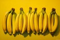 Ripe, appetizing, healthy, large, sweet bananas, neatly lined in a row on a yellow background. The view from the top