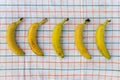 Ripe, appetizing, healthy, large, sweet bananas, neatly lined in a row on checkered tablecloth table on a light