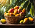 Ripe appetizing mango fruit in an overflowing basket, AI Royalty Free Stock Photo