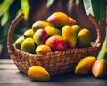 Ripe appetizing mango fruit in an overflowing basket, AI Royalty Free Stock Photo