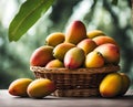 Ripe appetizing mango fruit in an overflowing basket, AI Royalty Free Stock Photo