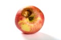 Ripe apple bited by insect with clipping path