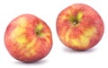 Ripe apple fruit Royalty Free Stock Photo