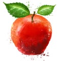 Ripe apple logo design template. food or fruit