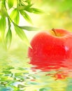 Ripe apple reflected in water
