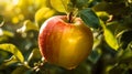 ripe apple on the tree in the sunshine generative ai