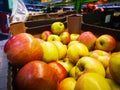 Ripe apples in a box for sale in a store