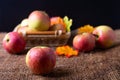 Ripe apples on burlap and in a basket on a black background. Rustic style, close-up