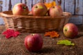Ripe apples on burlap and in a basket. Rustic style, close-up Royalty Free Stock Photo
