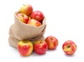 Ripe apples in burlap sack Royalty Free Stock Photo