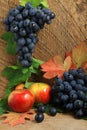 Ripe apples, leaves and bunch of grapes