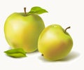 Ripe apples with leaves Royalty Free Stock Photo