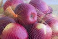 The ripe of apples packaged in the plastic net. Sale of fruits in the supermarket Royalty Free Stock Photo