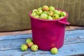 Ripe apples in a pink basket on bench under sunlight