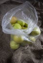 Ripe apples in a plastic bag Royalty Free Stock Photo