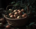 Ripe apples in a wicker basket on a dark background. Royalty Free Stock Photo